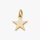 Star Charm