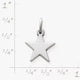Star Charm