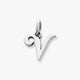 Script Initial Charm