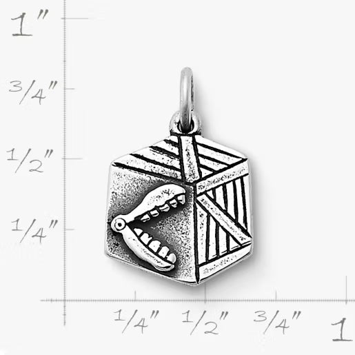 Chatter Box Charm