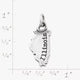 My "Illinois" Charm
