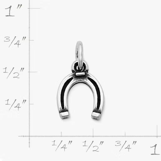 Horseshoe Charm