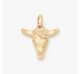 Desert Rose Charm