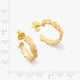 Rose Hoops