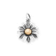 Blooming Daisies Collection