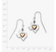 Deep in the Heart of Texas Dangle Earrings